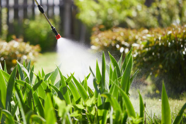 24/7 Emergency Cockroach Control experts in Aragon, GA