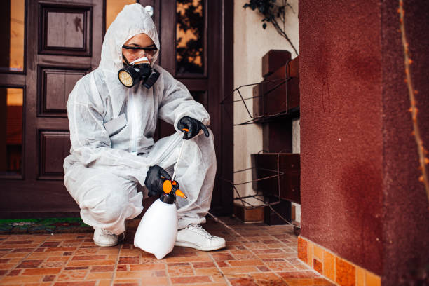 Reliable Cockroach Control contractor in Aragon, GA by Nex Pest Control